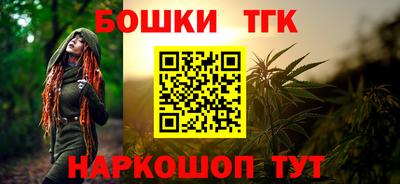 дмт Славгород